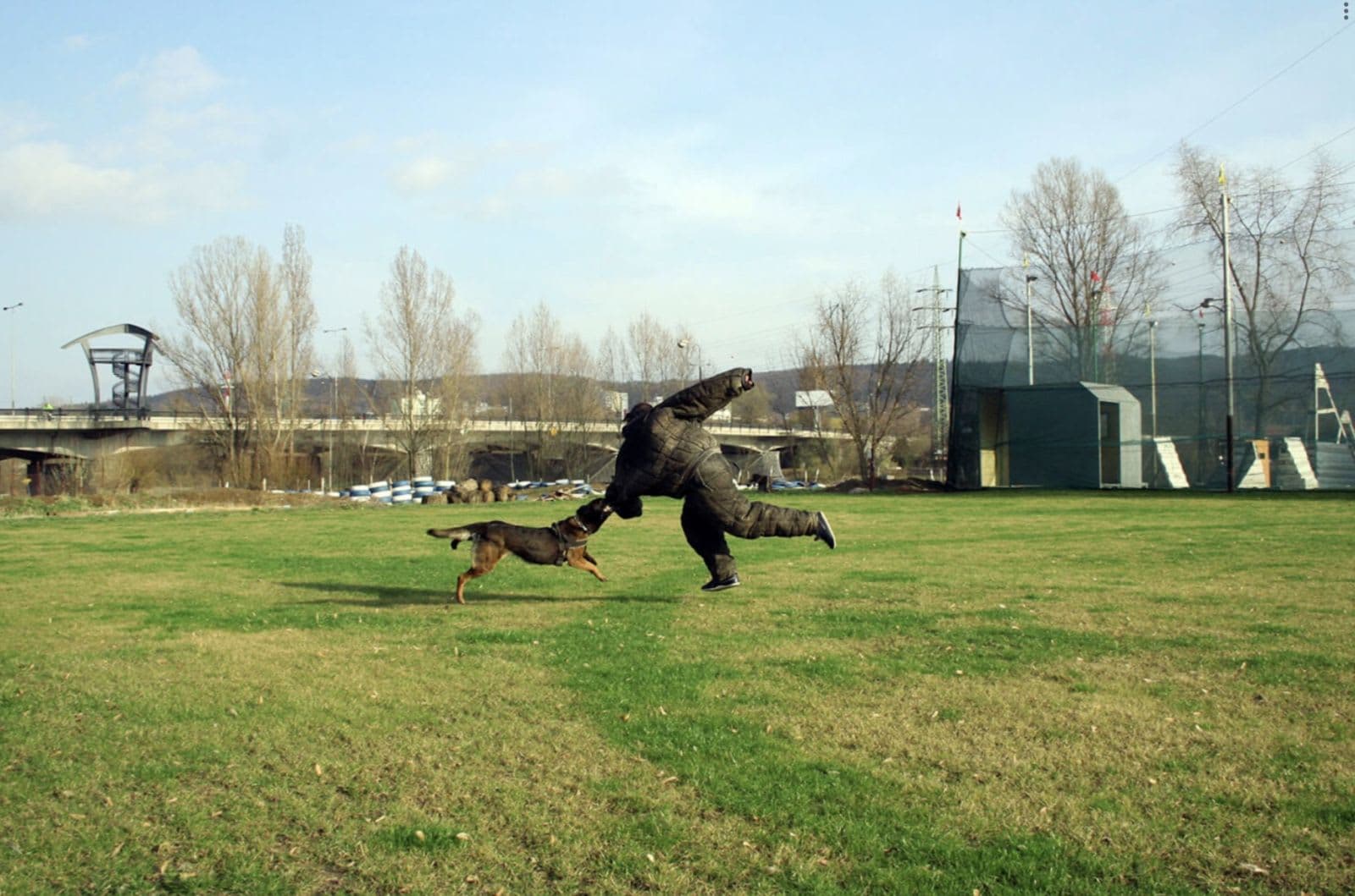 Man VS Dog (2nd presta : My europe experience)